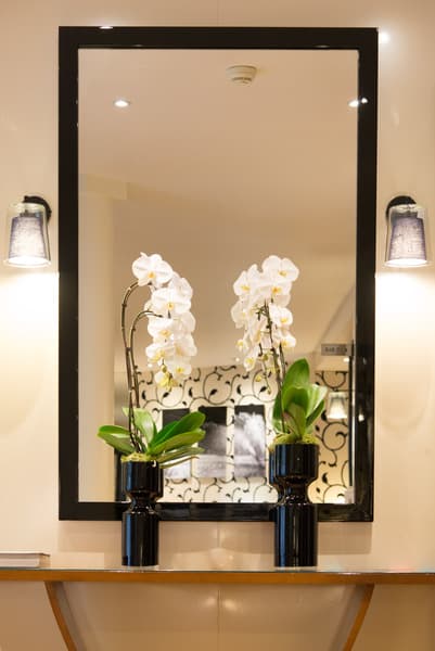 Etoile Park Hotel 5