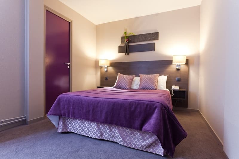 Hotel France Albion 4