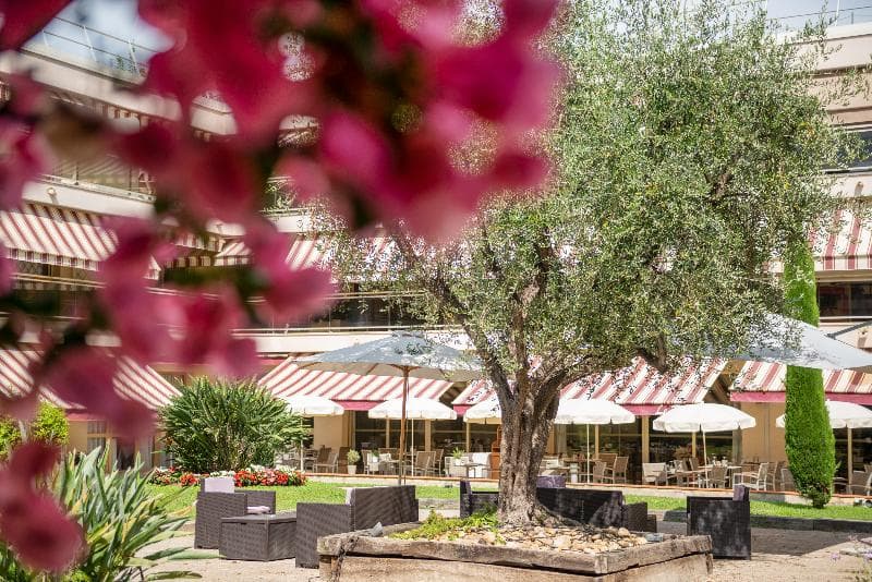 The Originals Boutique, Hôtel Les Strélitzias, Antibes Ouest 4