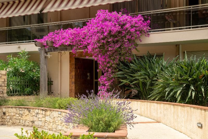 The Originals Boutique, Hôtel Les Strélitzias, Antibes Ouest 3