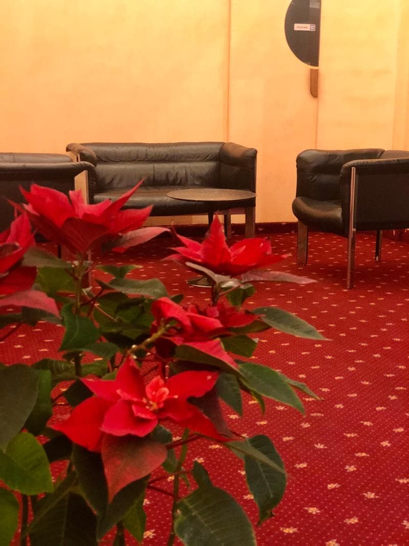 Hotel Maximus 5