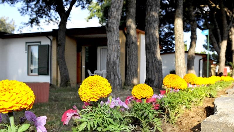La Serra Holiday Village & Beach Resort main