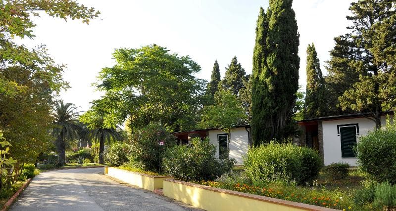 La Serra Holiday Village & Beach Resort 3