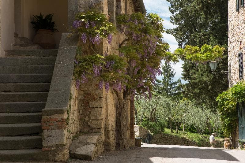 Castello Di Fonterutoli 4