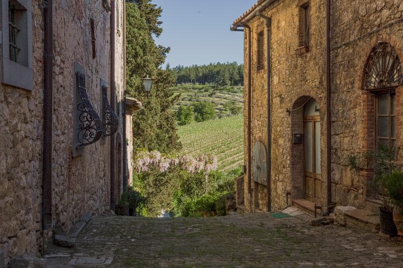 Castello Di Fonterutoli 5