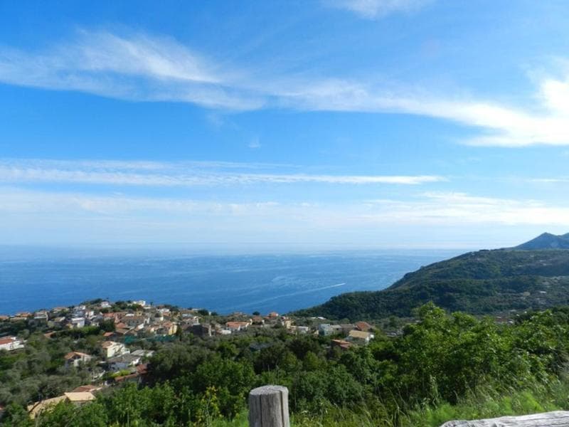 Fattoria Terranova 5