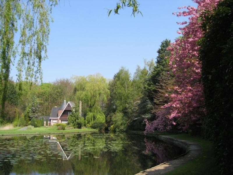 Lodewijk van Male photo 1