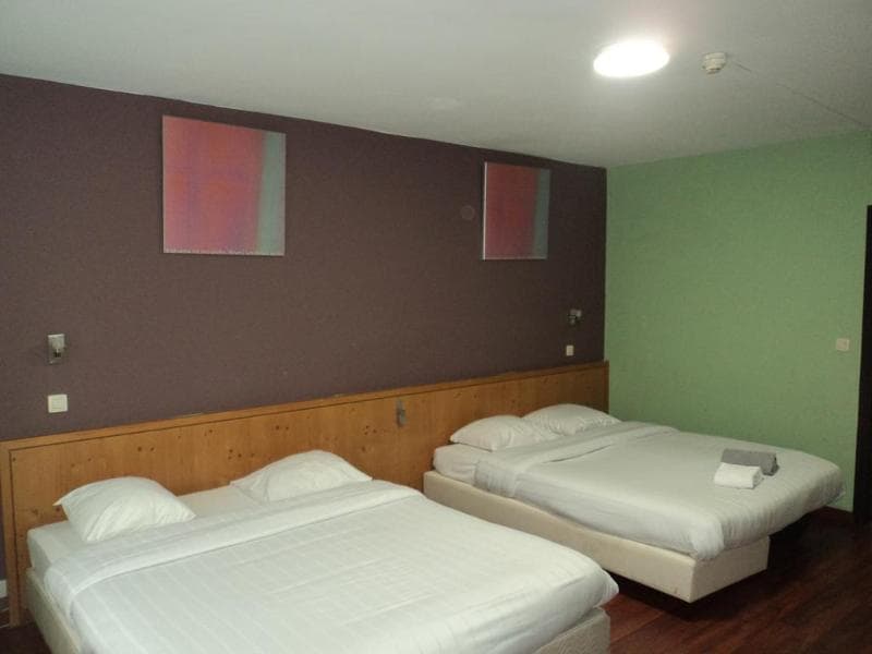 Hotel Albert 4