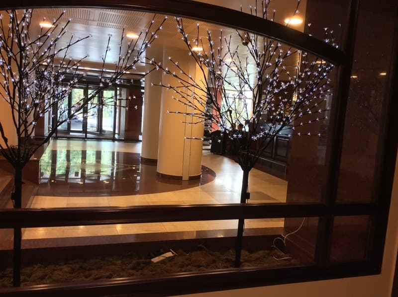 Hotel Rapsodia 4