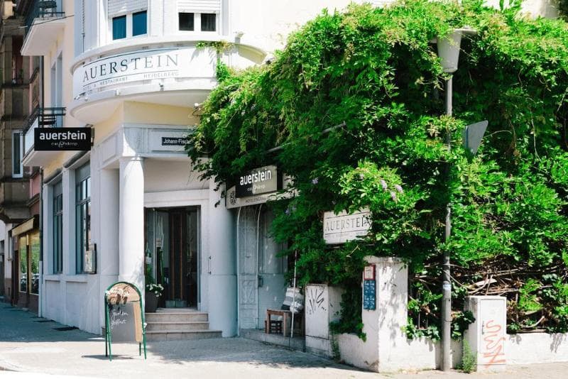 Hotel Auerstein 5