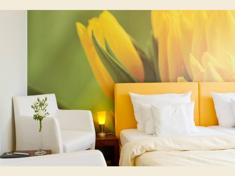 Hotel Burgunderhof photo 1