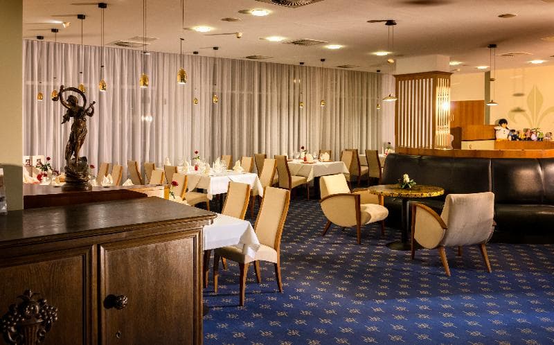 Dorint Hotel Charlottenhof Halle (Saale) 4