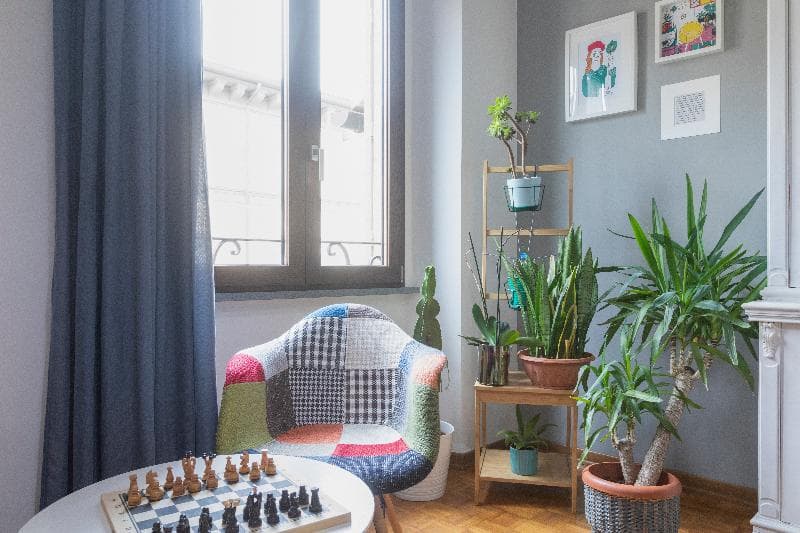 Hotel Miceli - Civico 50 3