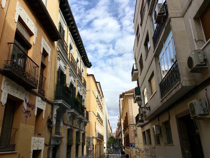 Jemasaca Palma 61 photo 1