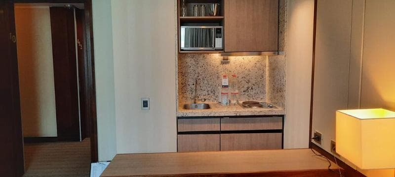 Presidente Suites Santiago 2