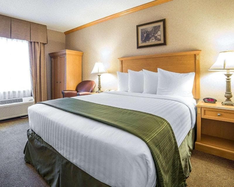 Quality Inn & Suites 5