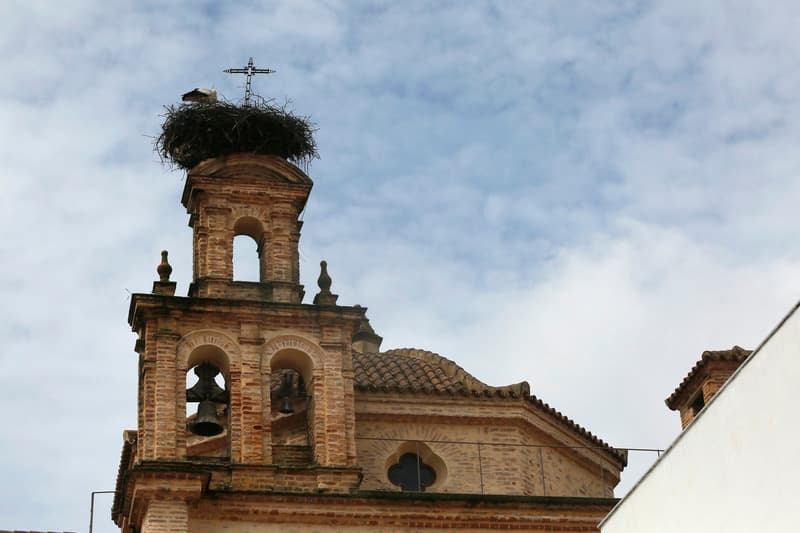 Hotel Convento Aracena 5