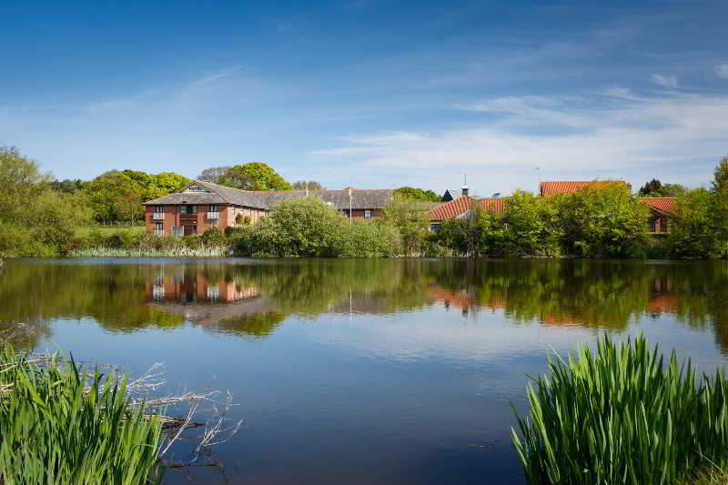 Dragonfly Hotel Colchester 5