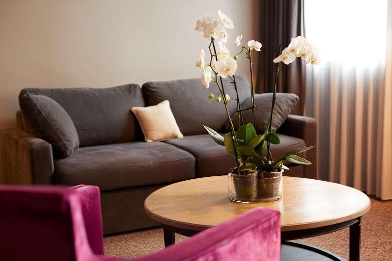 Best Western Plus Hotel d'Europe et d'Angleterre 4