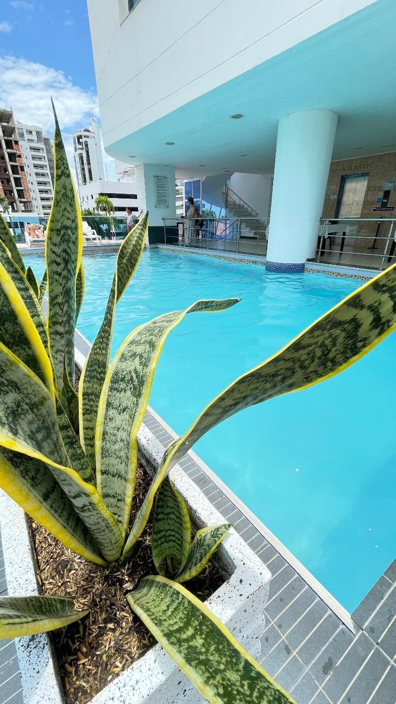 Atlantic Lux Hotel photo 1