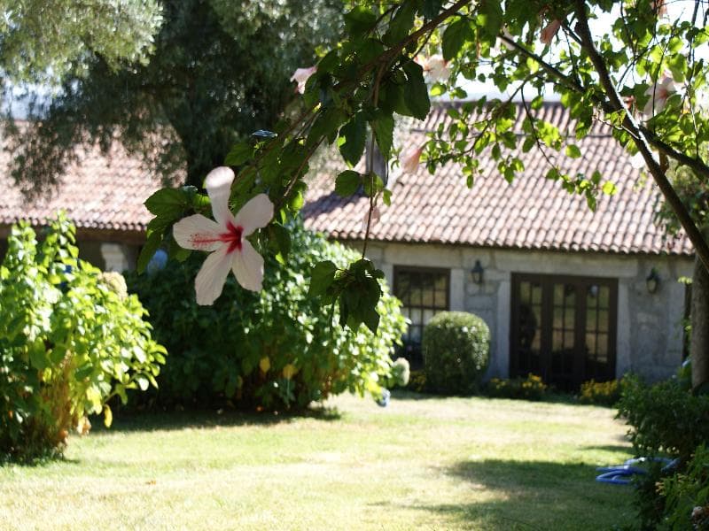 Quinta Do Paco D'anha 2