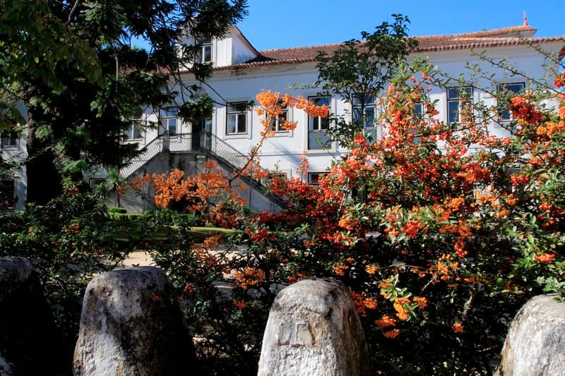 Casa De Mogofores 3