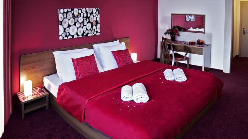 Hotel Slovan 5