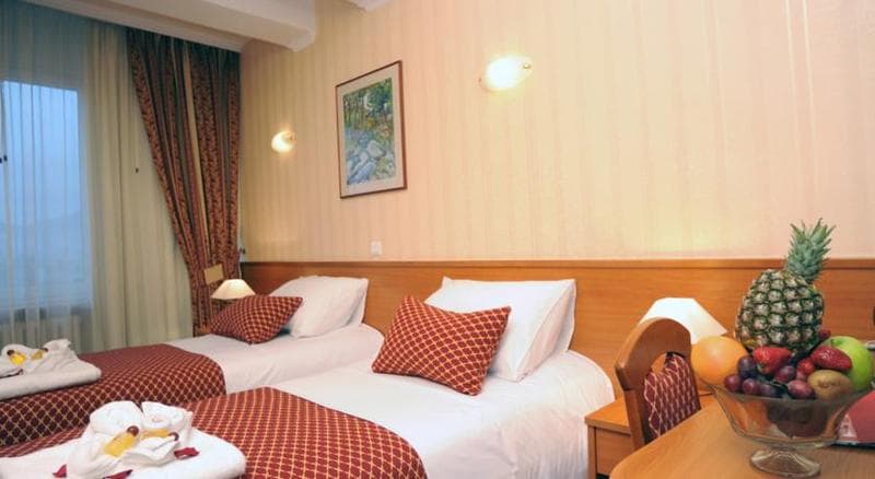 Epinal Spa& Casino 5
