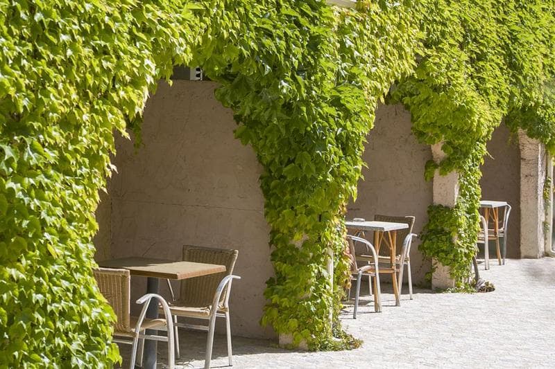 Hôtel U Ricordu 4