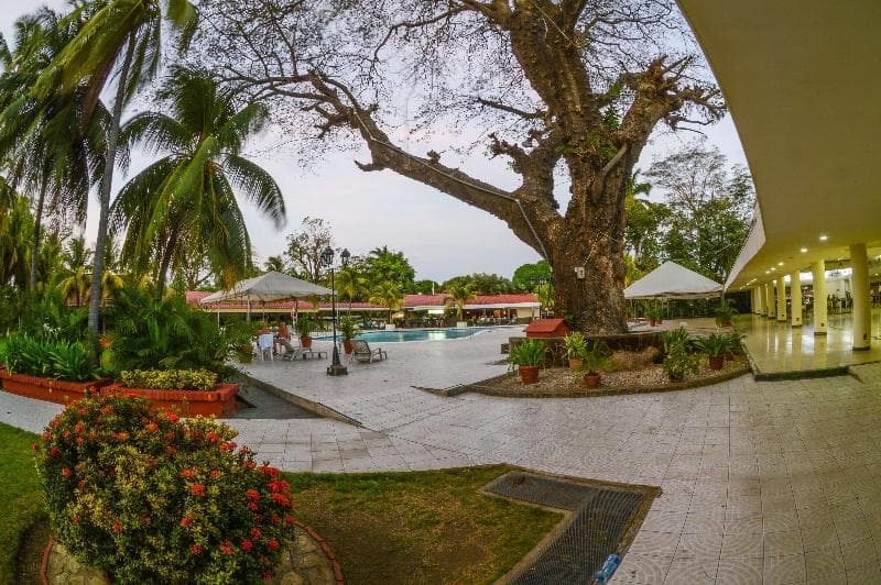 Best Western Las Mercedes Airport 5