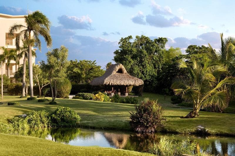 The Westin Puntacana Resort and Club 3