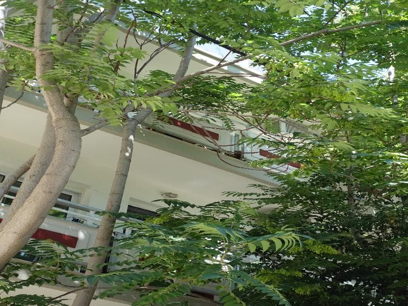 Bristol Apartments main