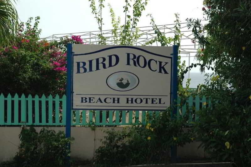Bird Rock Beach 4