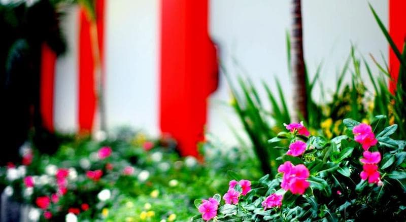 Ozz Hotel Kuta 4
