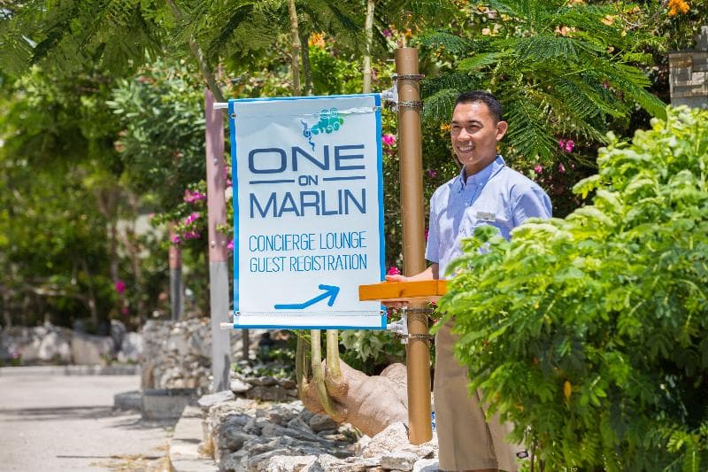 One On Marlin – Adults Only 3