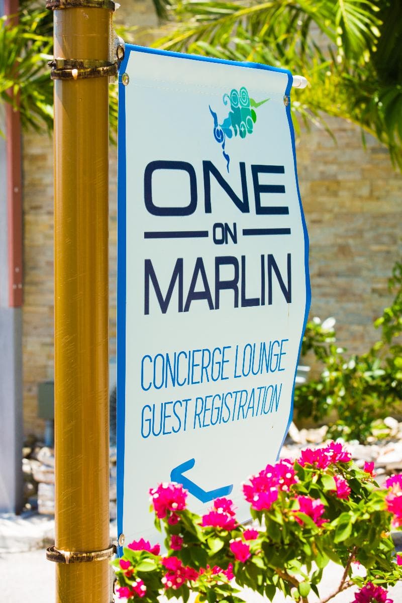 One On Marlin – Adults Only 4
