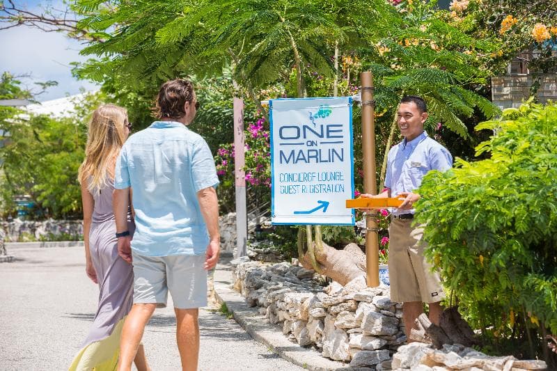 One On Marlin – Adults Only 5