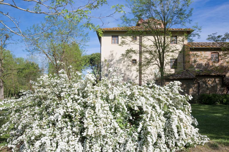 Borgo San Benedetto main