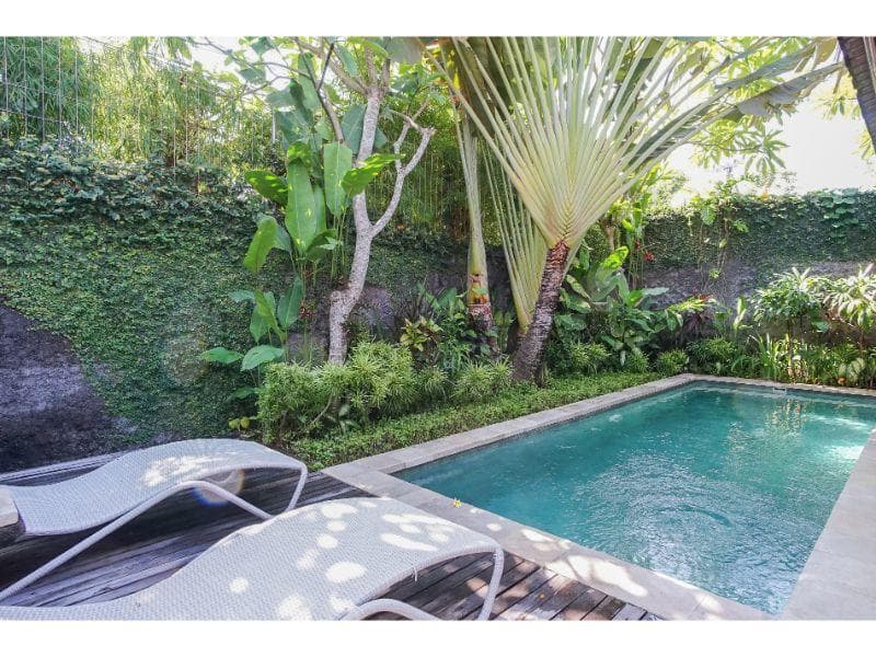 Alam Bidadari Seminyak Villas & Spa 5