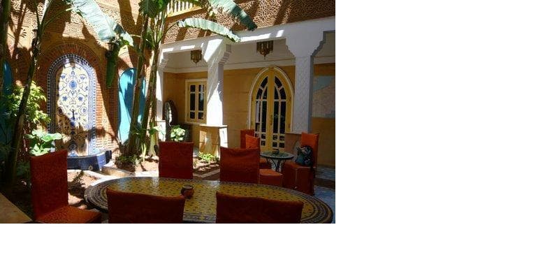 Riad Habib 2