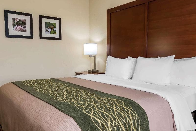 Comfort Inn - Pocono Mountains 4