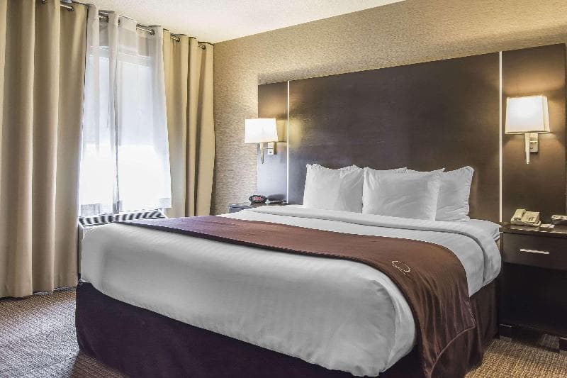 Quattro Hotel & Conference Centre 4