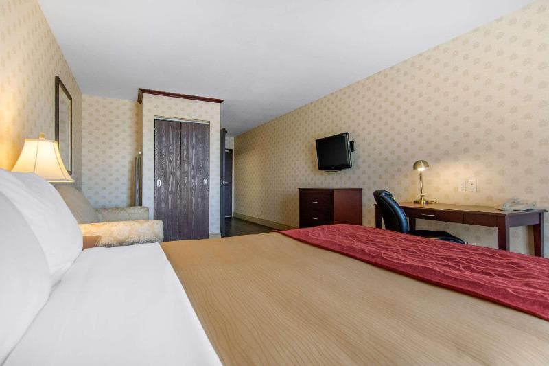 Comfort Inn & Suites 4