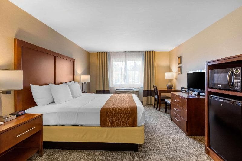 Comfort Inn & Suites Near Temecula Wine Country 5