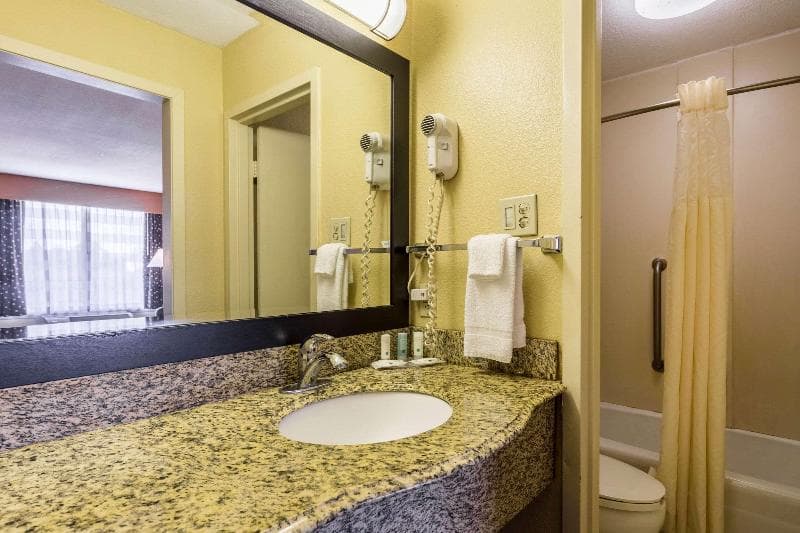 Quality Inn & Suites Baton Rouge West - Port Allen 4