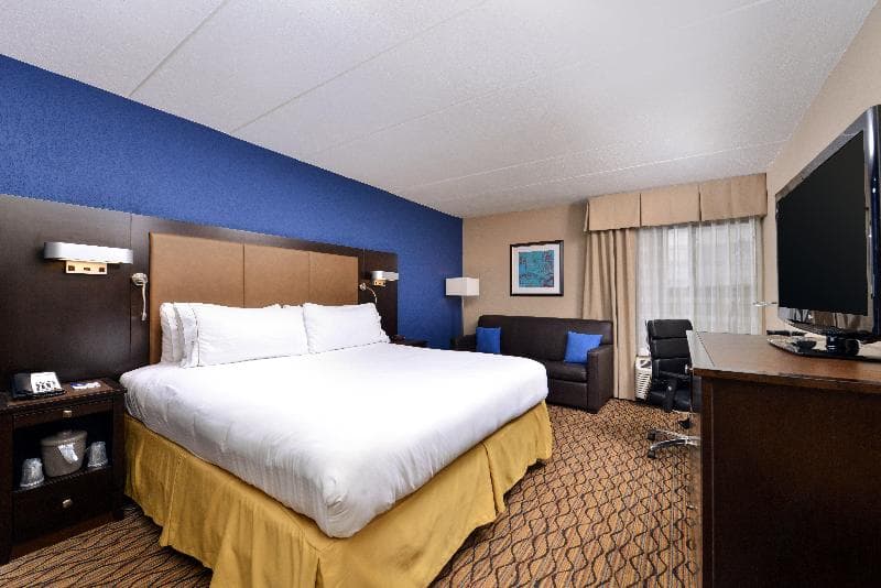 Holiday Inn Express Hunt Valley 5