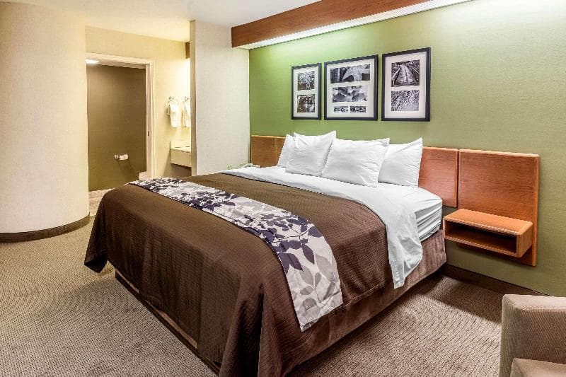 Sleep Inn And Suites Acme - Traverse City 3