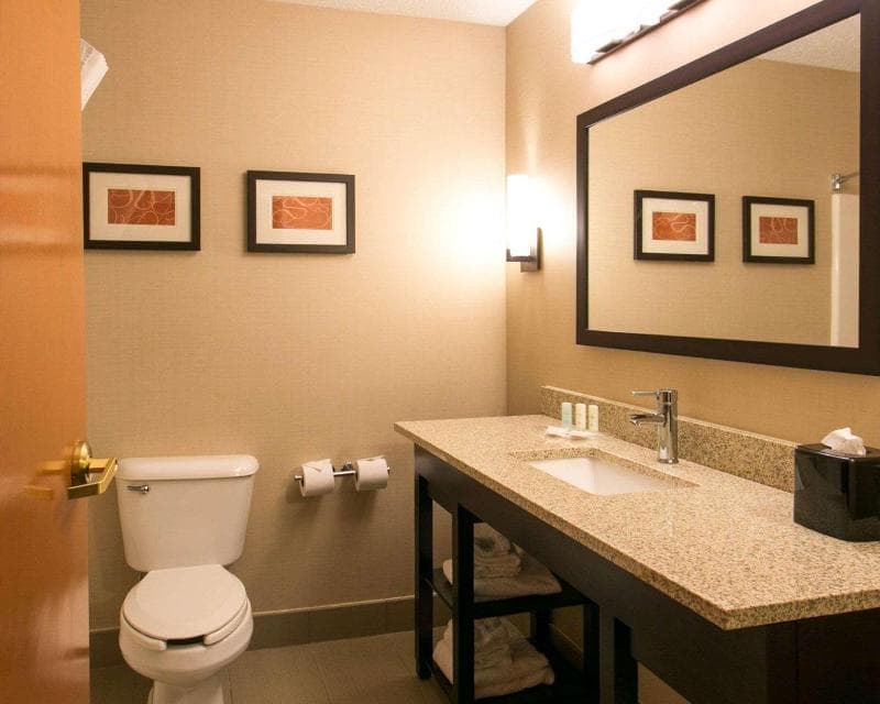 Comfort Suites Benton Harbor - St. Joseph 2
