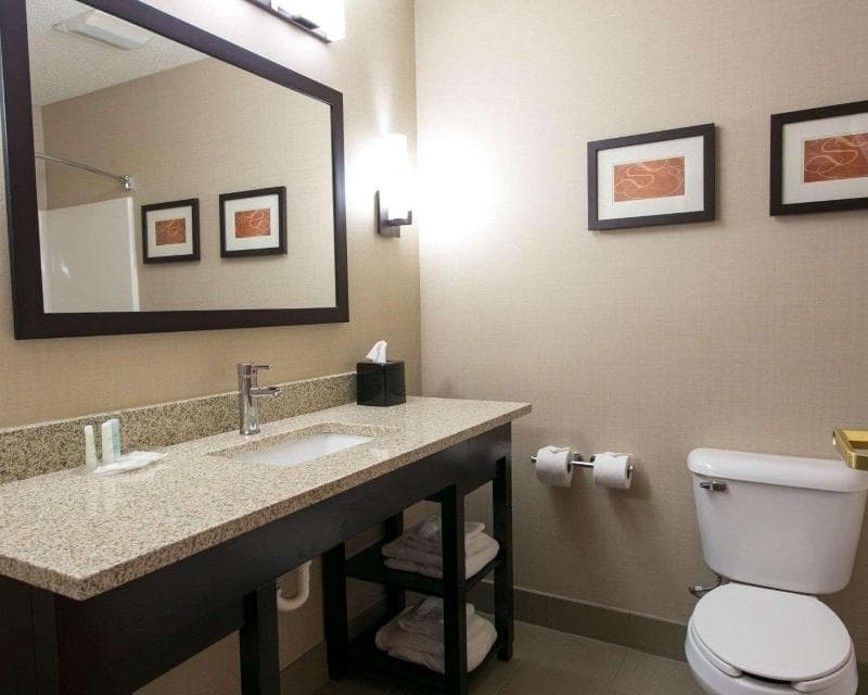 Comfort Suites Benton Harbor - St. Joseph 4