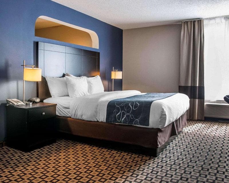 Comfort Suites Benton Harbor - St. Joseph 5